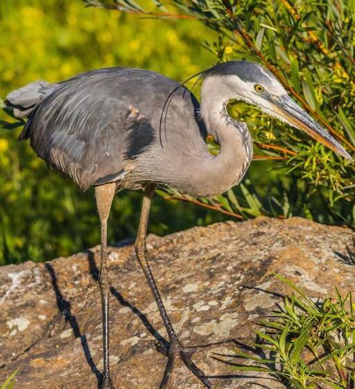 فندق Morro Bay Beach Inn
