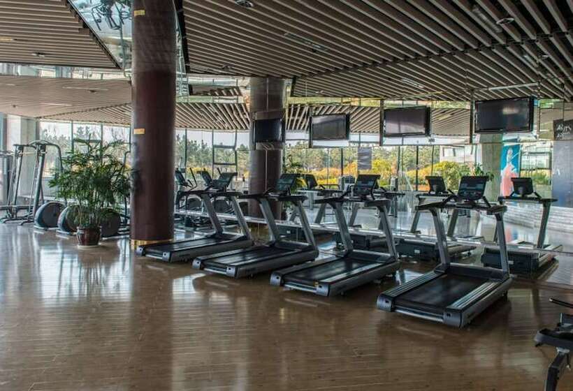 فندق Wyndham Grand Qingdao