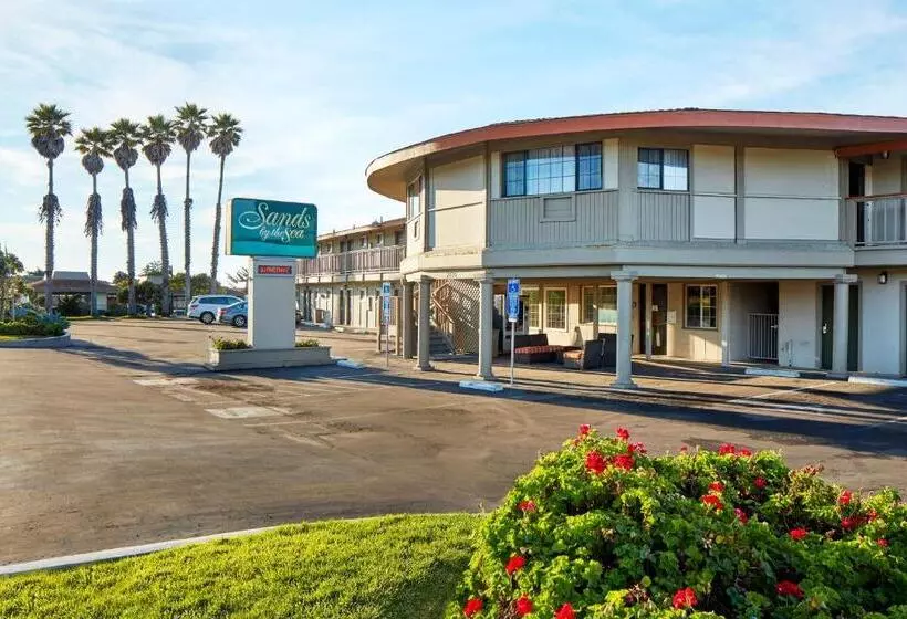 ペンション Sands By The Sea Motel