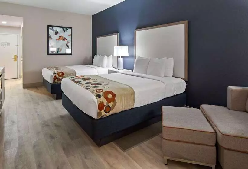 酒店 Best Western Heritage Inn And Suites