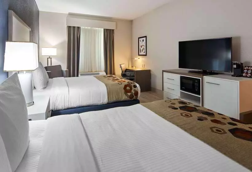 酒店 Best Western Heritage Inn And Suites