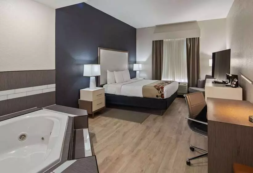 酒店 Best Western Heritage Inn And Suites