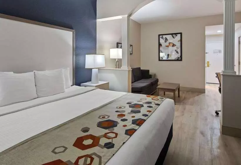 酒店 Best Western Heritage Inn And Suites