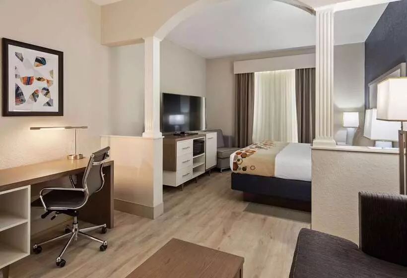 酒店 Best Western Heritage Inn And Suites