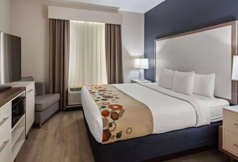 酒店 Best Western Heritage Inn And Suites