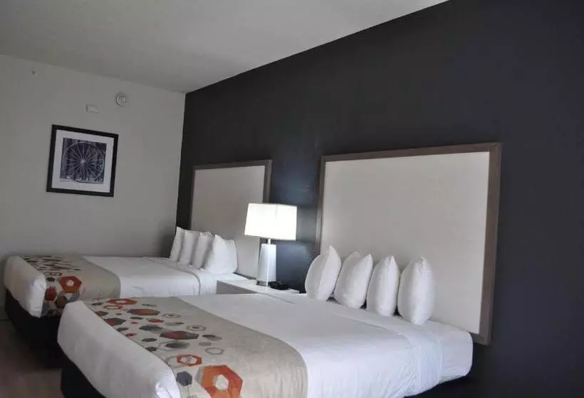 酒店 Best Western Heritage Inn And Suites