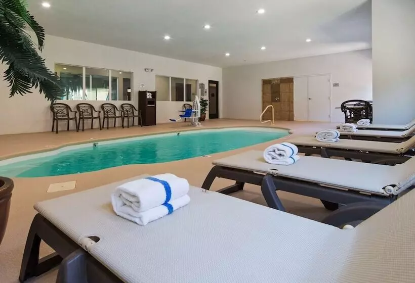 فندق Best Western Oasis Inn