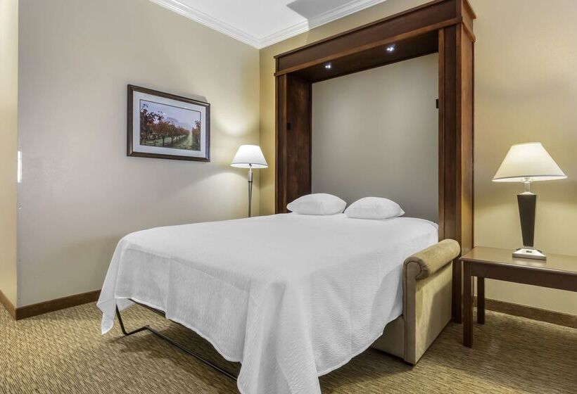 酒店 Best Western Plus Grapevine Inn