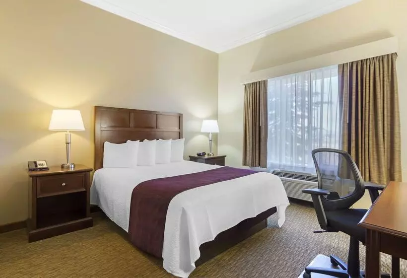 ホテル Best Western Plus Grapevine Inn