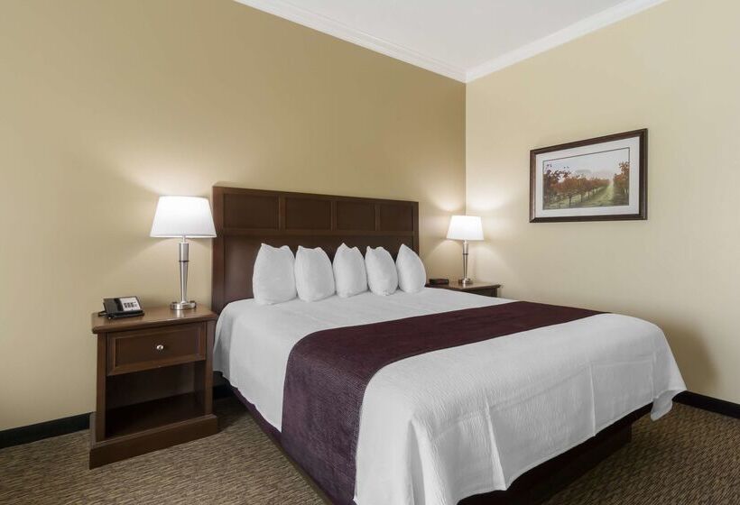 酒店 Best Western Plus Grapevine Inn