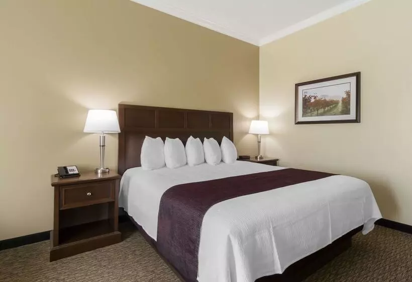 ホテル Best Western Plus Grapevine Inn