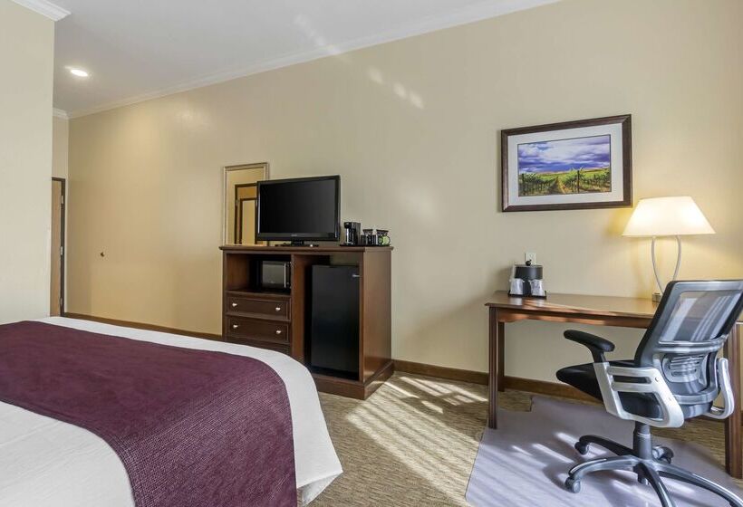 酒店 Best Western Plus Grapevine Inn