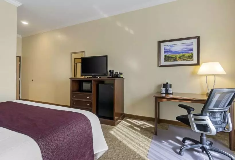 ホテル Best Western Plus Grapevine Inn