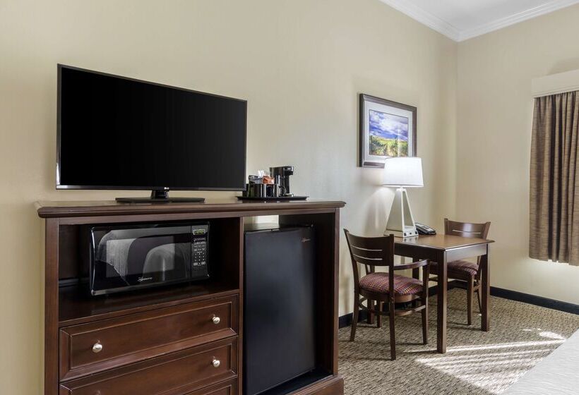 酒店 Best Western Plus Grapevine Inn