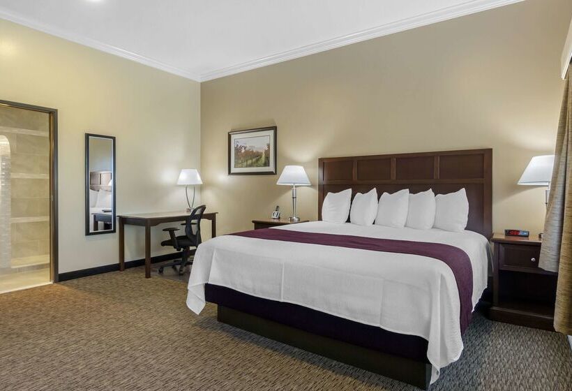 酒店 Best Western Plus Grapevine Inn