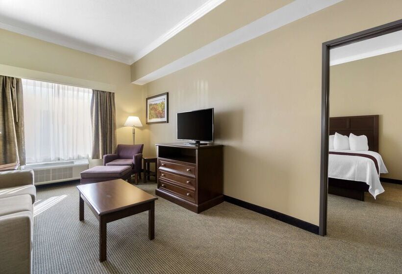 酒店 Best Western Plus Grapevine Inn