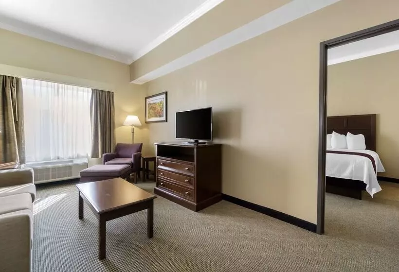 ホテル Best Western Plus Grapevine Inn