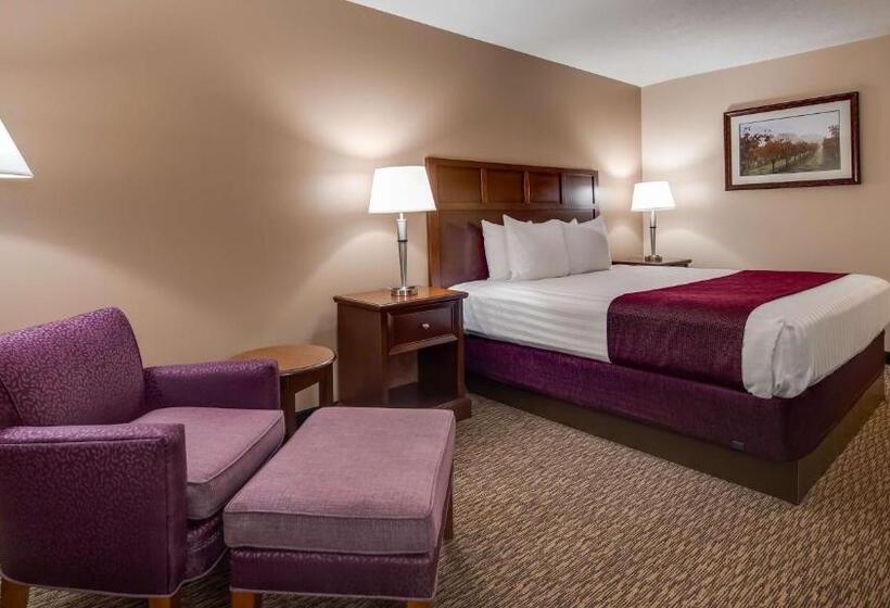 酒店 Best Western Plus Grapevine Inn