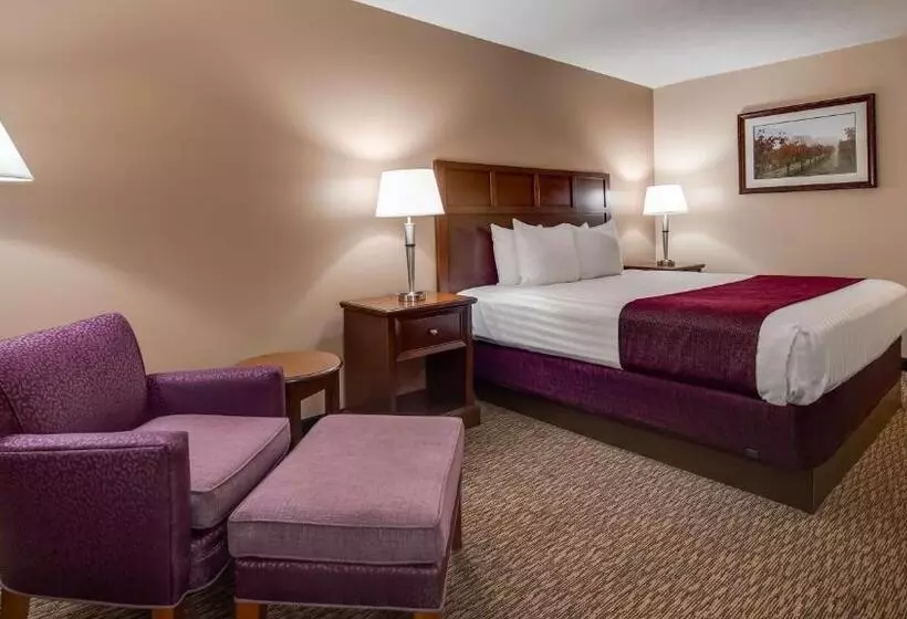 ホテル Best Western Plus Grapevine Inn