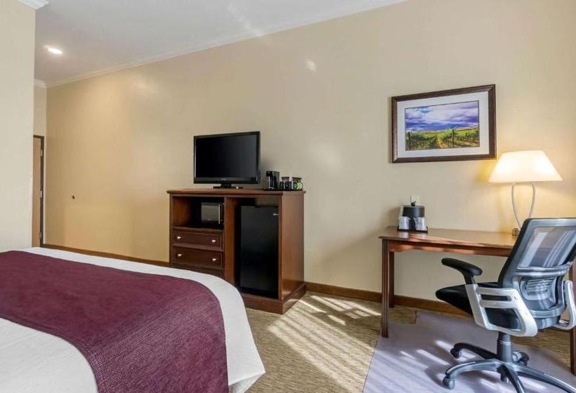 酒店 Best Western Plus Grapevine Inn