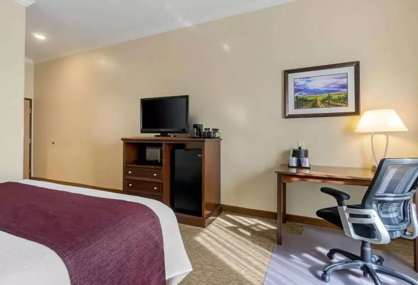 ホテル Best Western Plus Grapevine Inn