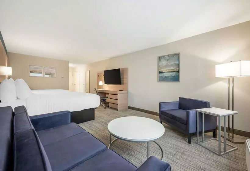 酒店 Best Western River Cities