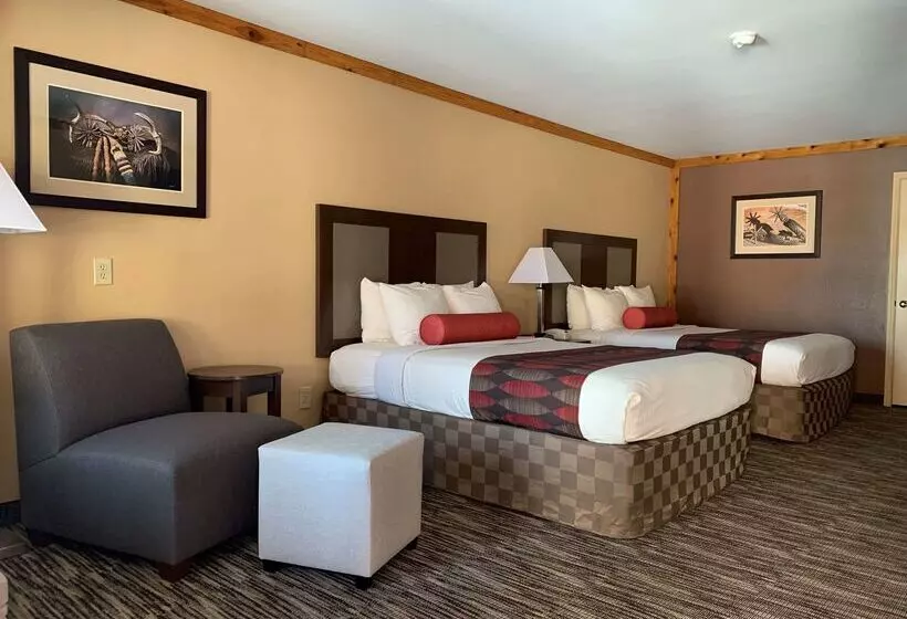 فندق Best Western Windwood Inn & Suites