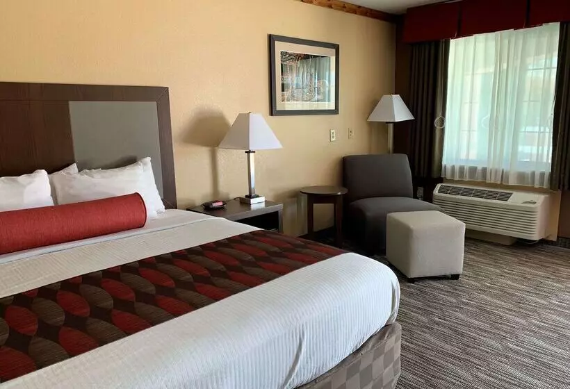 فندق Best Western Windwood Inn & Suites