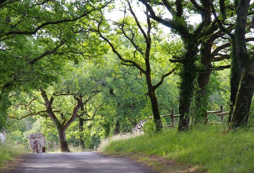 Logis Hotels Domaine Du Châtelard