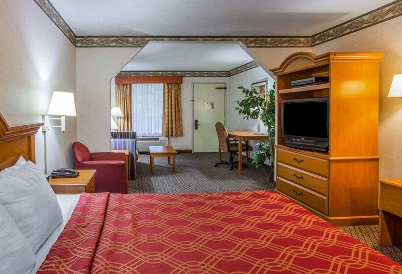 酒店 Econo Lodge Villa Rica