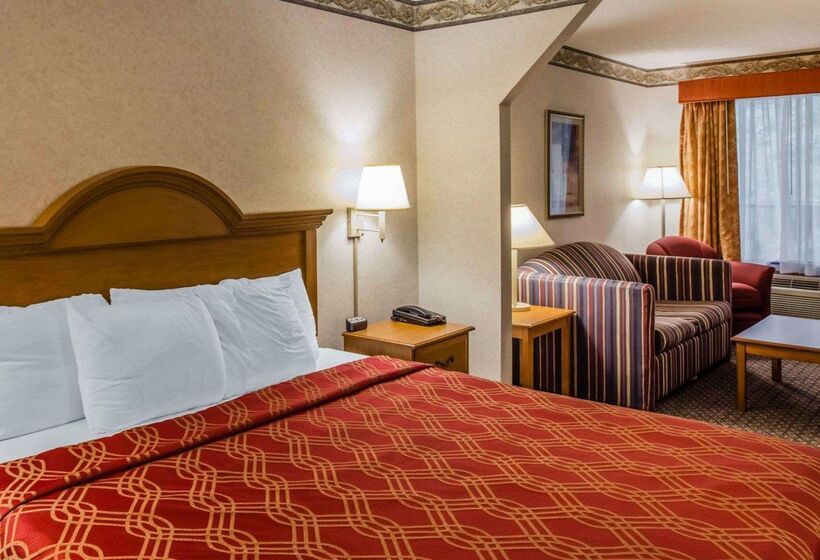 酒店 Econo Lodge Villa Rica