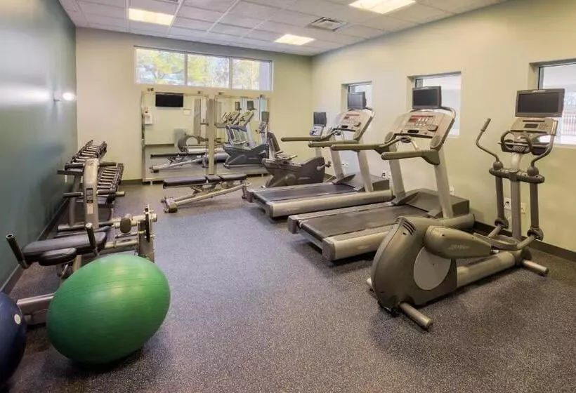 בית מלון כפרי Four Points By Sheraton Raleigh Durham Airport