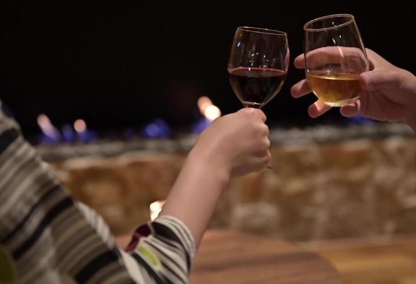 בית מלון כפרי Shidotaira