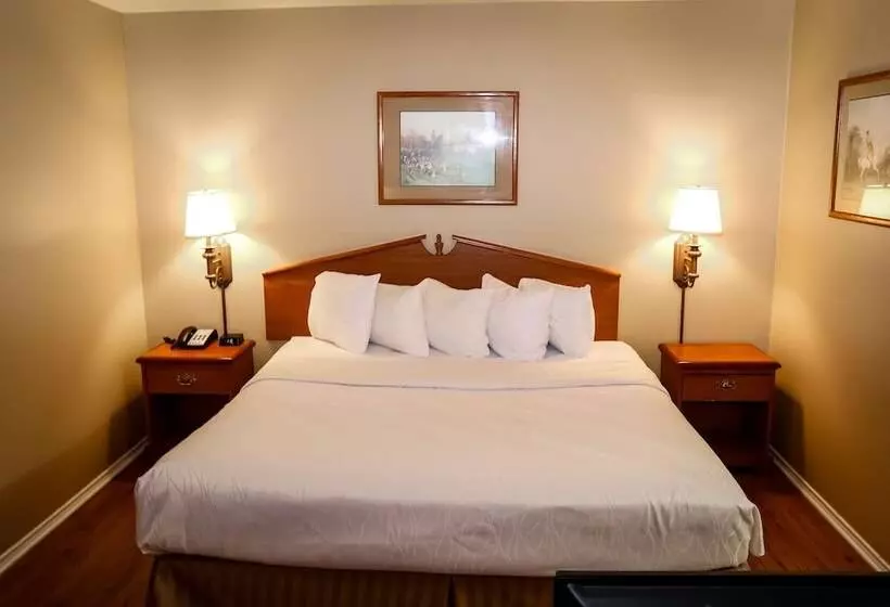 酒店 Americas Best Value Inn & Suites Sonora