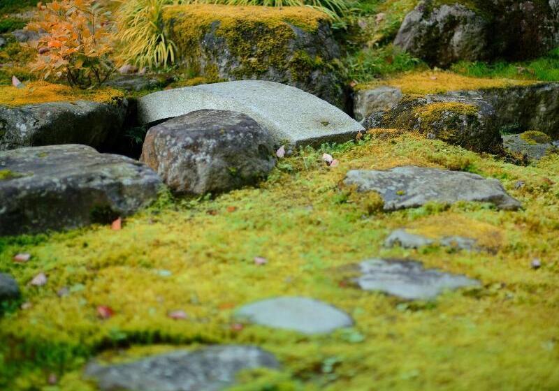 فندق Wakamatsuya