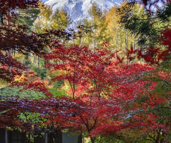 Fujisan Onsen Hotel Kaneyamaen