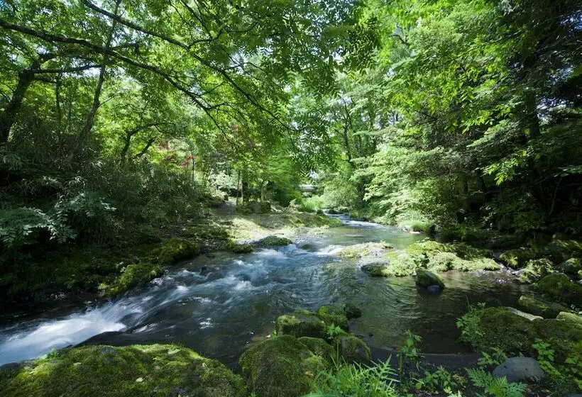 Fujisan Onsen Hotel Kaneyamaen
