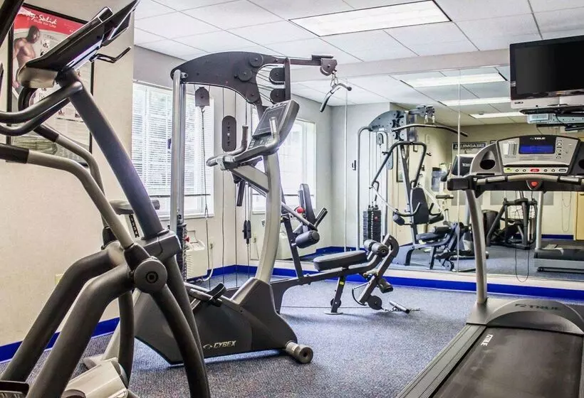 Отель Comfort Inn & Suites