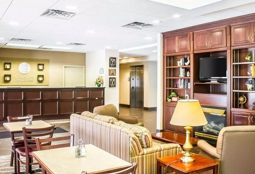 Отель Comfort Inn & Suites