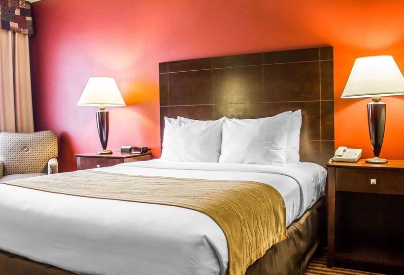 酒店 Comfort Inn & Suites