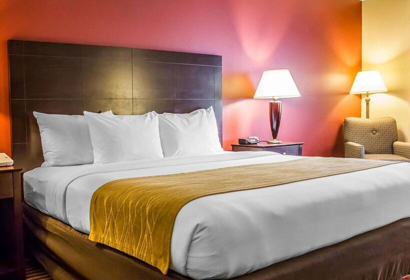 酒店 Comfort Inn & Suites