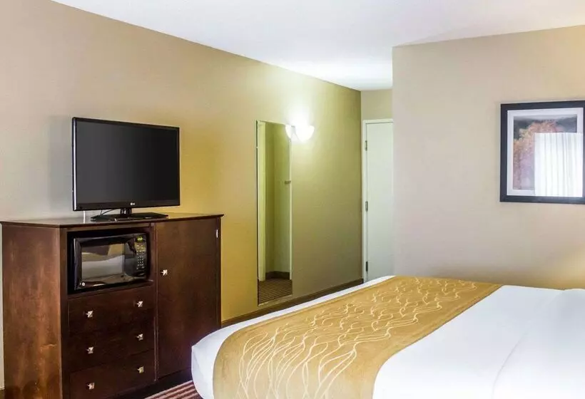 Отель Comfort Inn & Suites