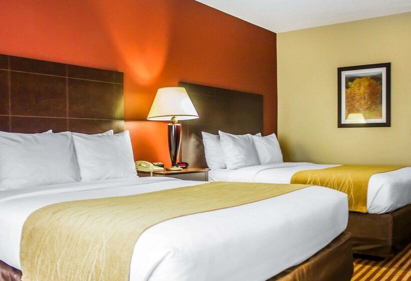 酒店 Comfort Inn & Suites