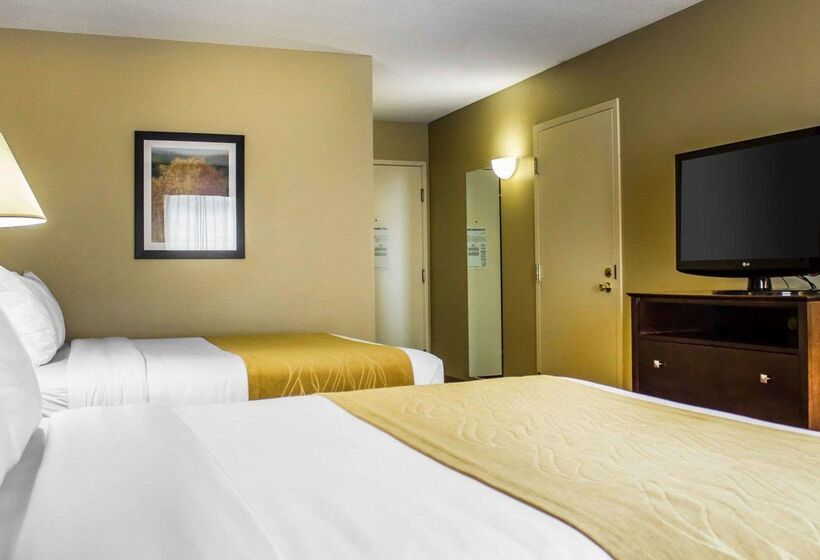 酒店 Comfort Inn & Suites