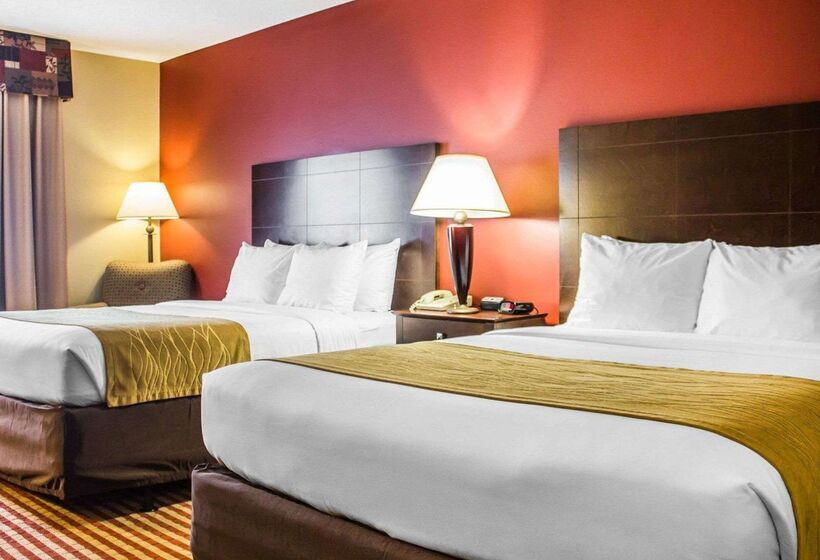 酒店 Comfort Inn & Suites