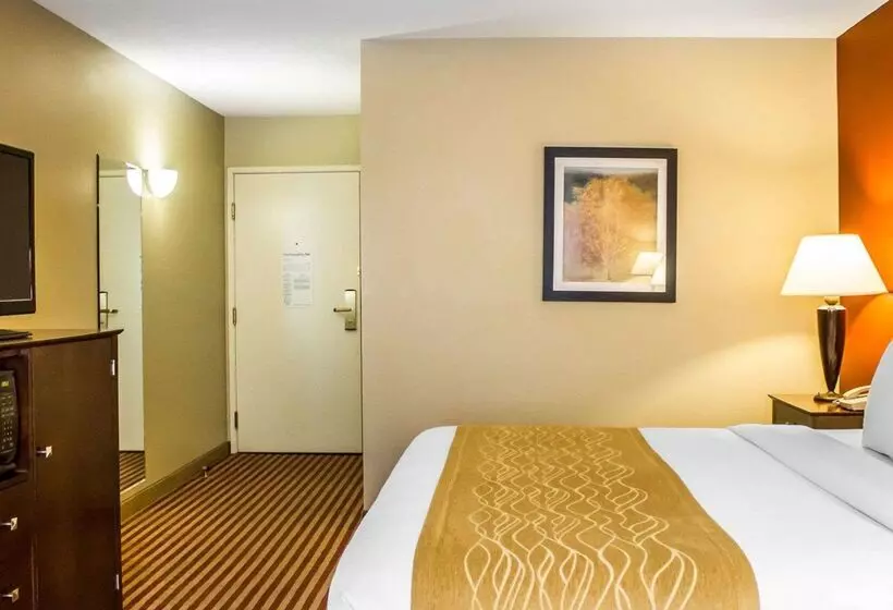 Отель Comfort Inn & Suites