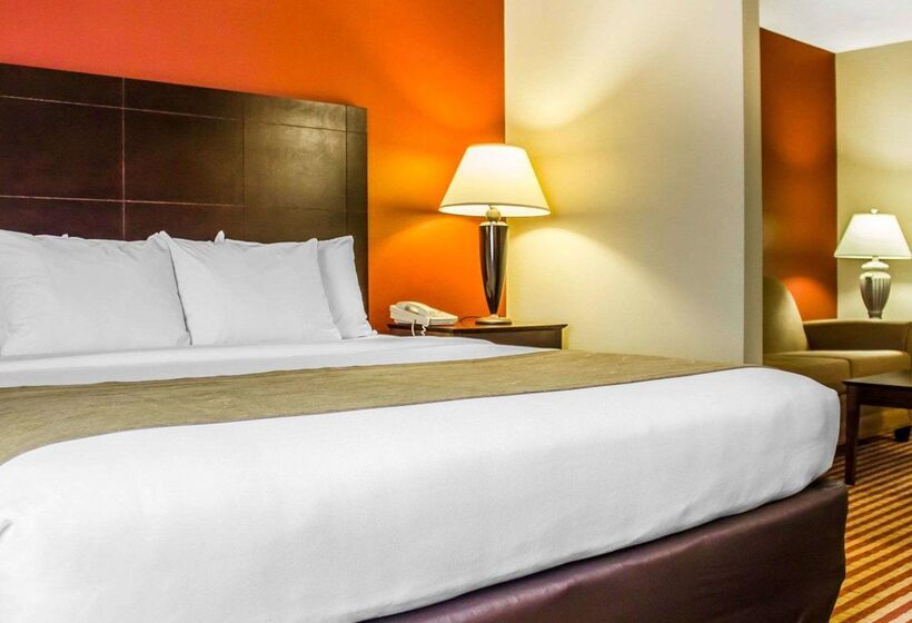 酒店 Comfort Inn & Suites