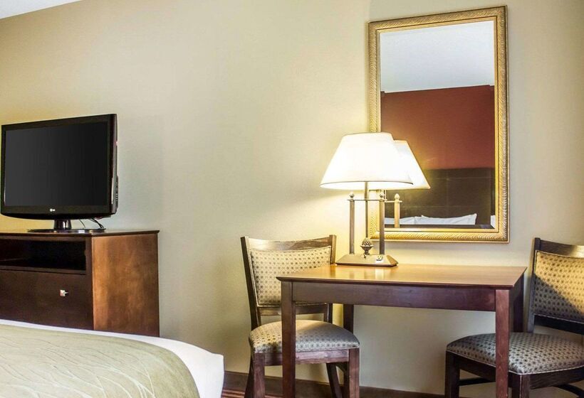 酒店 Comfort Inn & Suites