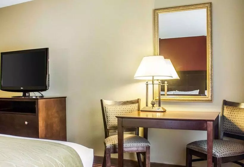 Отель Comfort Inn & Suites