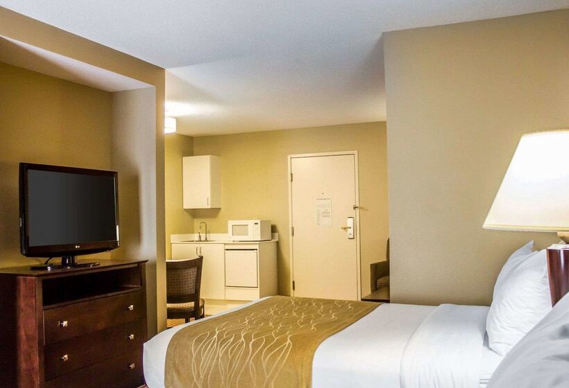 酒店 Comfort Inn & Suites